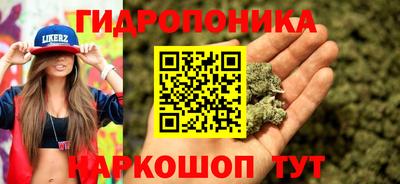 ешки Моздок