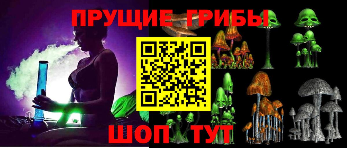 Энгельс  Галлюциногенные грибы GOLDEN TEACHER  Вход с VPN 